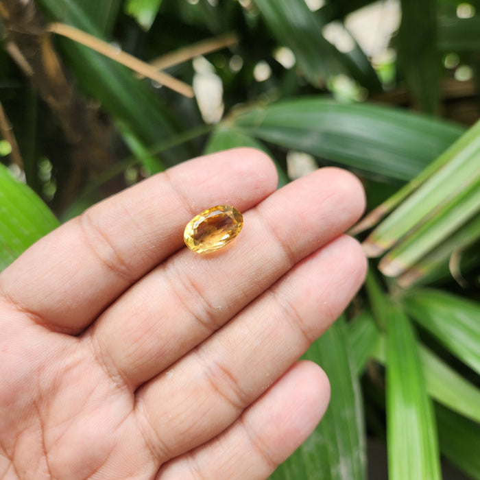 Citrine (Sunela) Gemstone- 6.22 Carat