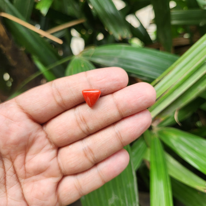 Red Coral (Moonga) Semi-Precious Gemstone- Triangle-5.56 Carat