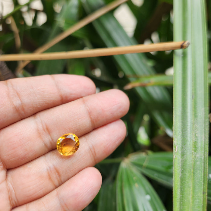 Citrine (Sunela) Gemstone- 5.90 Carat