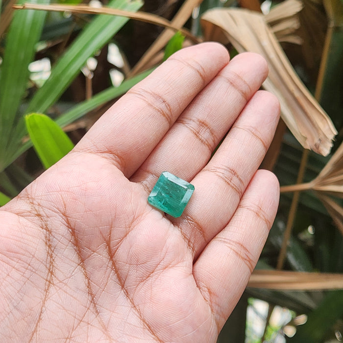 Emerald (Panna) Zambian Gemstone- 5.84 Carat