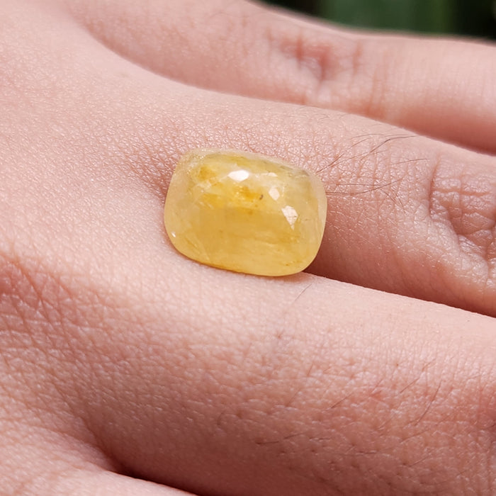 Yellow Sapphire Gemstone from Burma (Maynmar)- 6.38 Carat