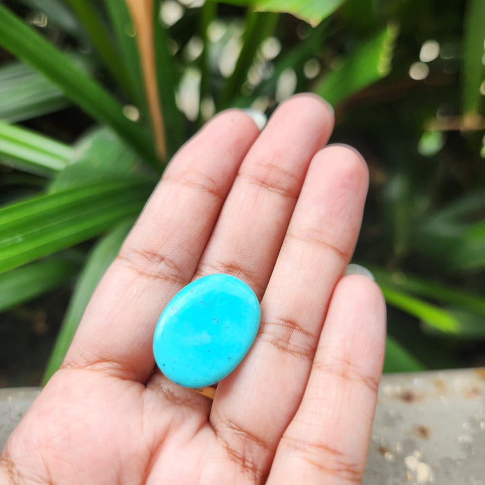 Irani Firoza Turquoise Stone- 22.14 Carat