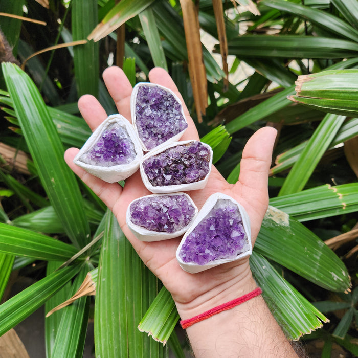 Amethyst Cluster from Uruguay