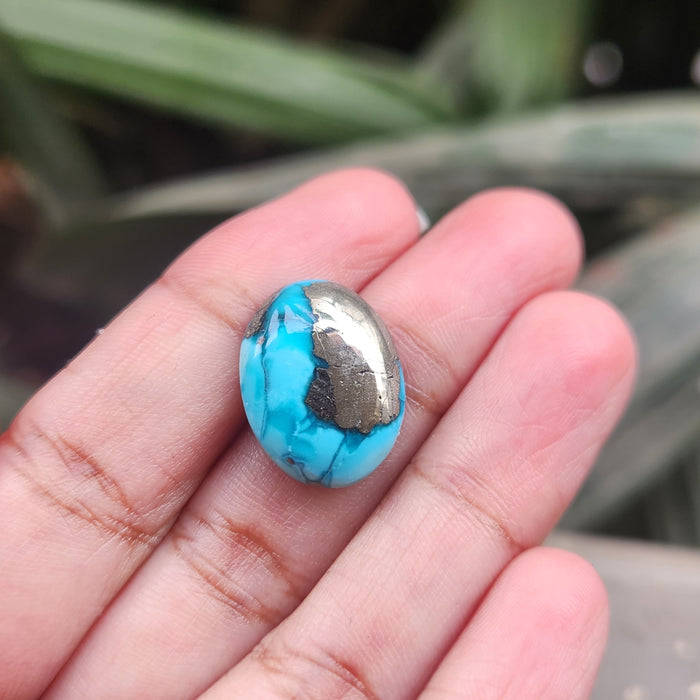 Irani Firoza Turquoise Stone- 12.82 Carat