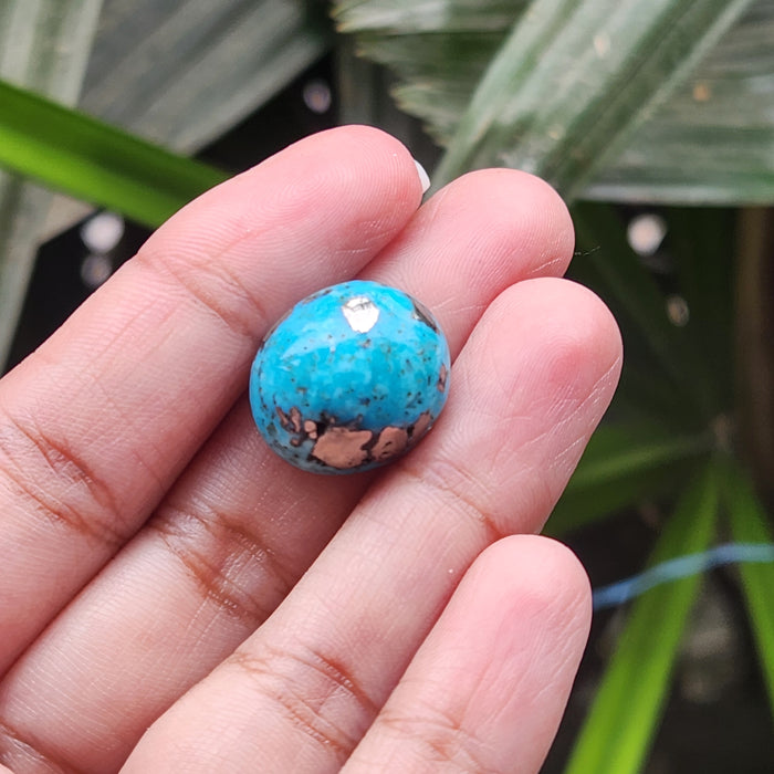 Irani Firoza Turquoise Stone- 19.50 Carat