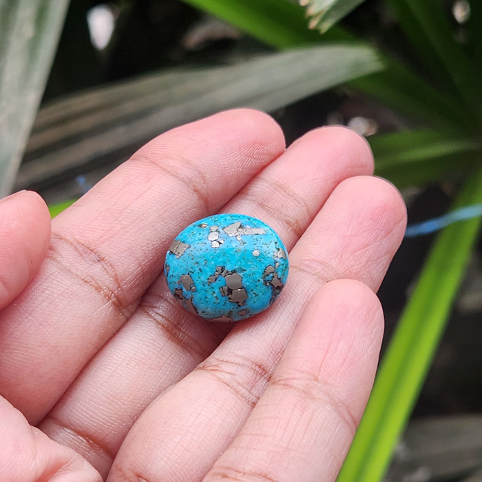 Irani Firoza Turquoise Stone- 19.50 Carat