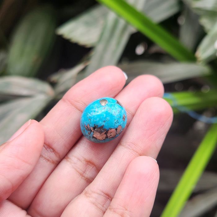 Irani Firoza Turquoise Stone- 19.50 Carat