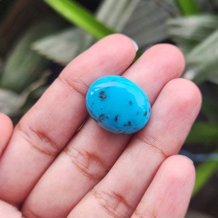 Irani Firoza Turquoise Stone- 17.37 Carat