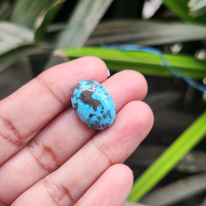 Irani Firoza Turquoise Stone- 9.46 Carat